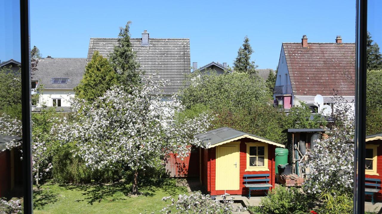 Am Stadtgarten Simmern Exteriör bild